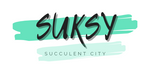 Suksy succulent city